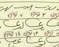 On One of the Forgotten Iranian Sciences: Siaq, Arithmatical Notation