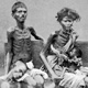 The Great Famine 1917-1919